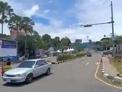 Lalin di Puncak Bogor Padat, Penyesuaian One Way Menuju Jakarta Mulai Diterapkan Siang Ini